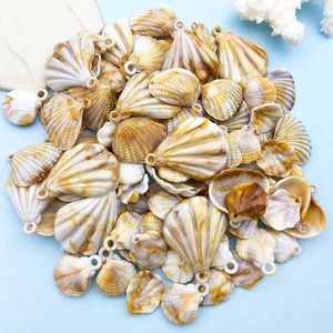 Mix di ciondoli a conchiglia in acrilico con fori preforati per creazioni di gioielli fai-da-te
