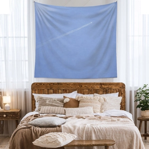 Detail of blue sky tapestry with white jet trail above a cozy bed and plants
