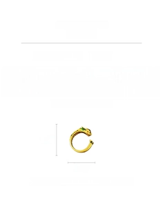 Detail view of the open dragon ring showing dimensions 2.3cm by 2.2cm and 4.8g weight