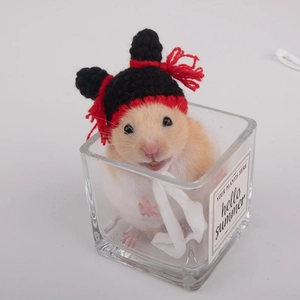 Detail of a hamster wearing a hand-knitted red and black hat while sitting in a glass cup