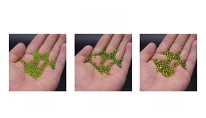 Light green glass seed beads in 2mm 3mm 4mm sizes for DIY jewelry making and bracelets