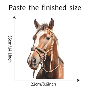 Detail view of realistic horse wall sticker with measurements 36x22cm on white background