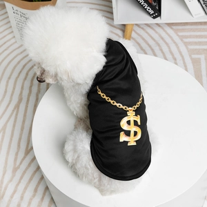 White dog wearing a black pet vest with golden dollar sign print on a white table