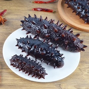 Realistic sea cucumber model prop displayed in different sizes on a ceramic plate