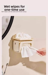 Wall-mounted tissue box storage shelf with bottom dispenser for wet wipes in cream beige