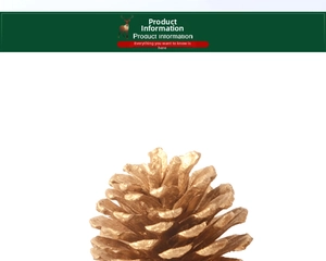 Close-up of golden glitter pine cone for Christmas tree decoration and festive scene setup