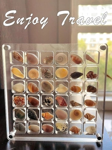Detail of 36-grid clear acrylic shell storage box with Enjoy Travel text and natural shells