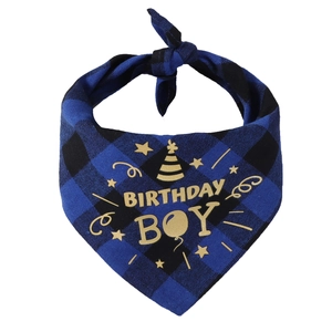 Close-up of Birthday Boy blue plaid dog bandana with gold lettering and star patterns