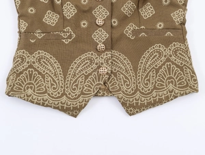 Détail de gilet ethnique avec motifs paisley, texture tissée et boutons traditionnels