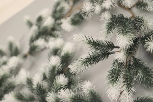 Macro shot of artificial pine needles with heavy snow flocking for festive Christmas decor