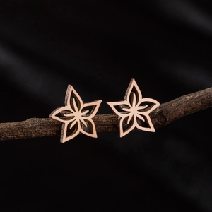 Boucles d'oreilles étoiles évidées en or rose élégantes sur une branche naturelle