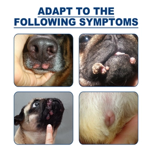 Detail view of dog skin conditions showing warts and papillomas on mouth and face