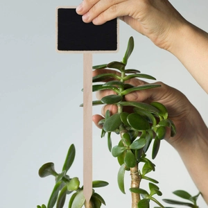 Mini wooden plant label being placed into soil for garden organization and DIY signage