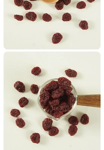 Macro view of artificial dried cranberry model with realistic wrinkled texture