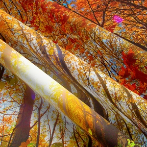 Detailed macro view of high-quality autumn forest tapestry fabric texture and print