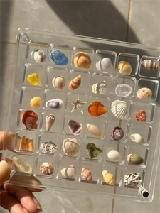 Detail of 36-grid clear acrylic display box featuring tiny seashells and colorful gems