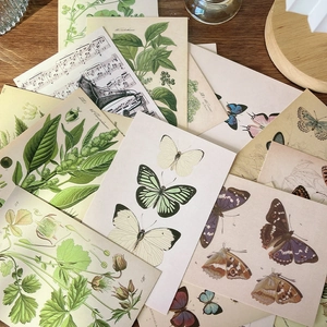 Flat lay of vintage forest botanical and butterfly postcards on a rustic wood surface