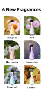 Selection of six fragrance oils including Lavender and Lemon in elegant glass bottles