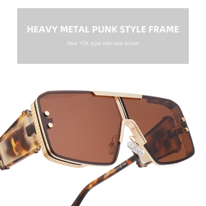 Detail view of steampunk oversized sunglasses with gold metal frame and tortoise temples