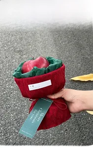 Close-up of a Christmas apple wrapped in red knit fabric with a green festive gift tag