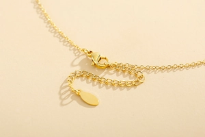 Detailed macro shot of the golden lobster clasp and extension chain on the necklace