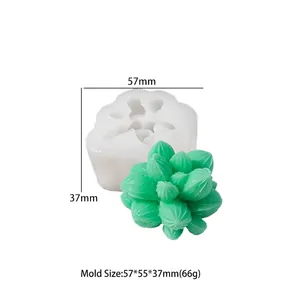 Macro-opname van de succulent siliconen mal met textuur en afmetingen 57x55x37mm