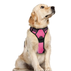 Pink dog harness with reflective strips and sturdy metal D-ring shown on a Golden Retriever