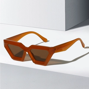 Irregular Geometric Sunglasses For Women Men Trendy Oversized UV400 Protection PC Frame Fashion Eyewear Retro Y2K Style