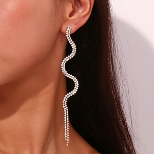 Chic S-curve zircon earrings in silver finish worn by a model in a natural setting