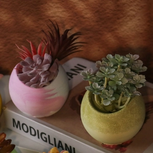 Mini fioriere per succulente in rosa marmo e verde opaco per decorazione ufficio