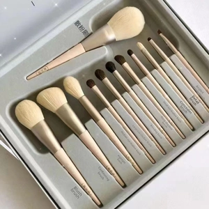 Detailed set of 12 professional makeup brushes with soft bristles in a sleek display box