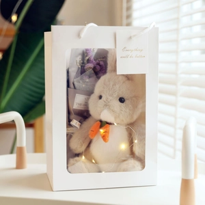 Cute stuffed bunny rabbit plush toy in a white gift bag with LED lights and dried flowers