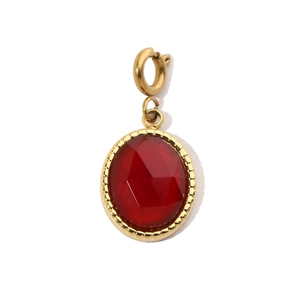 Detail of red stone pendant with gold clasp and textured metal border