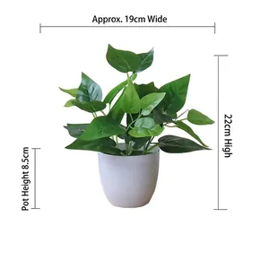 Detail showing artificial green radish plant in white pot with 22cm height dimensions