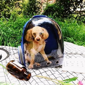 Blue panoramic transparent pet backpack with breathable holes for cat or small dog