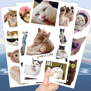 Detail shot of a hand holding cartoon cat tattoo stickers with playful expressions