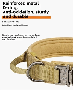 Close-up of tactical nylon dog collar with heavy-duty metal D-ring and quick release buckle