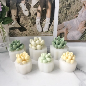 Detail view of 6 types of succulent silicone molds and DIY handmade resin craft samples