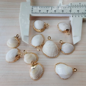 Makroaufnahme von Naturmuscheln mit vergoldetem Rand für DIY-Schmuckherstellung
