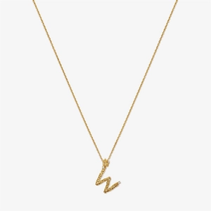 Macro detail of gold initial W pendant with lava texture and small crystals