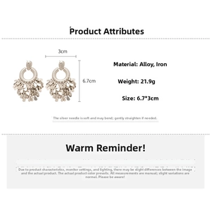 Detailed view of silver-tone tassel earrings with 6.7cm x 3cm dimensions and S925 needles