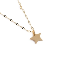 Minimalist gold stainless steel necklace featuring a crystal star pendant on a flat link chain