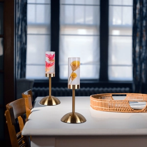 Preserved flowers in acrylic LED night lamps with gold metal bases on a white desk