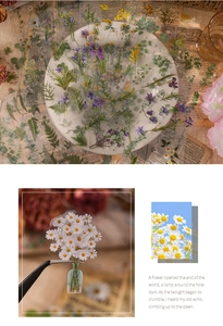 Macro detail of vintage floral PET stickers featuring hand-drawn daisies and ferns for scrapbooking