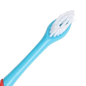 Dual-head pet toothbrush in sky blue for effective dog and cat dental oral cleaning