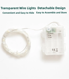 Detail of transparent LED string light with CE certified battery box and timer function