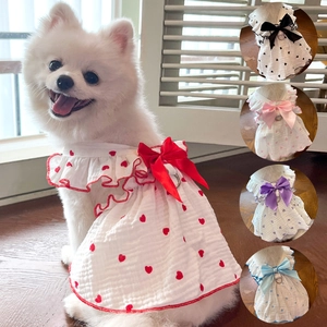 Floral pet dress with heart pattern and bow for dogs and cats on a white Pomeranian