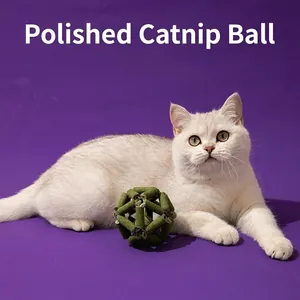 Natural Catnip Silvervine Ball Toy For Cats Teeth Cleaning Molar Geometric Hollow Herb Interactive Play Stress Relief