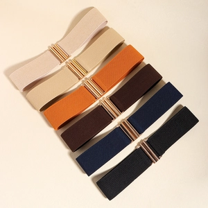 Detailed flat lay of elastic waist belts in six colors with polished gold buckles