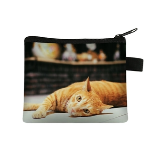 Cute mini cat coin purse with orange striped kitten pattern and secure black zipper